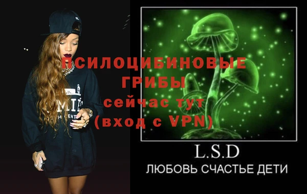 шишки Новозыбков