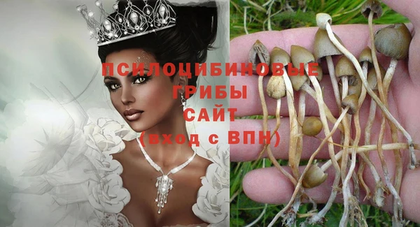 дживик Алексин