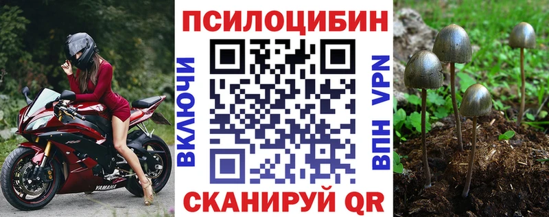 как найти закладки  Якутск  Псилоцибиновые грибы прущие грибы 
